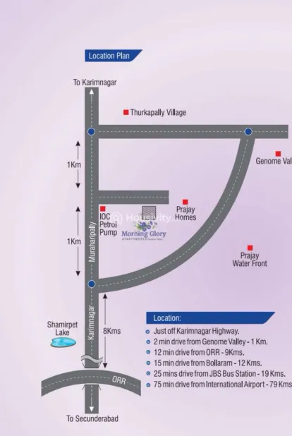 Modi Morning Glory Image 6