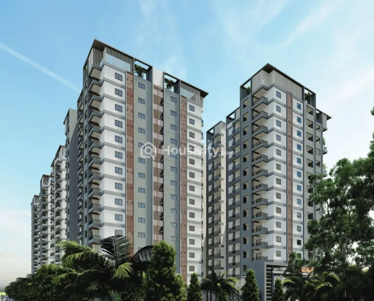 Praneeth Pranav Solitaire Image 1