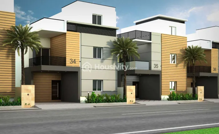 Praneeth Pranav Knightwoods Image 2