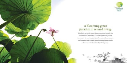 Hallmark Nature Nest Brochure Image 22