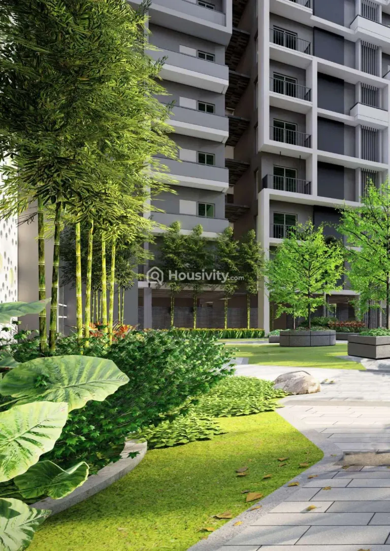 Manbhum Home Tree Image 2