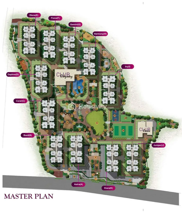 Rajapushpa Provincia Image 6