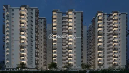 Riddhi Taranto Image 4