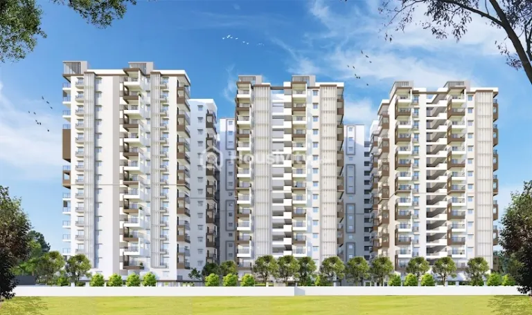 Riddhi Taranto Thumbnail