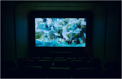 Siddha Sky Blu Image 5