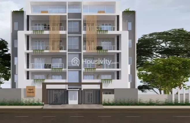 Agani Velocity Image 4