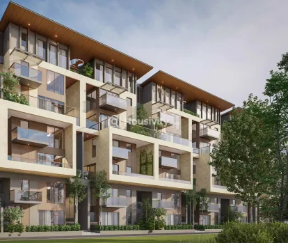 SBR Earth And Sky Image 3