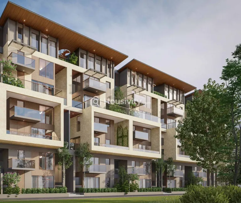 SBR Earth And Sky Image 3