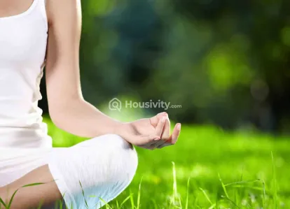 Sai's Sannidhi Image 2