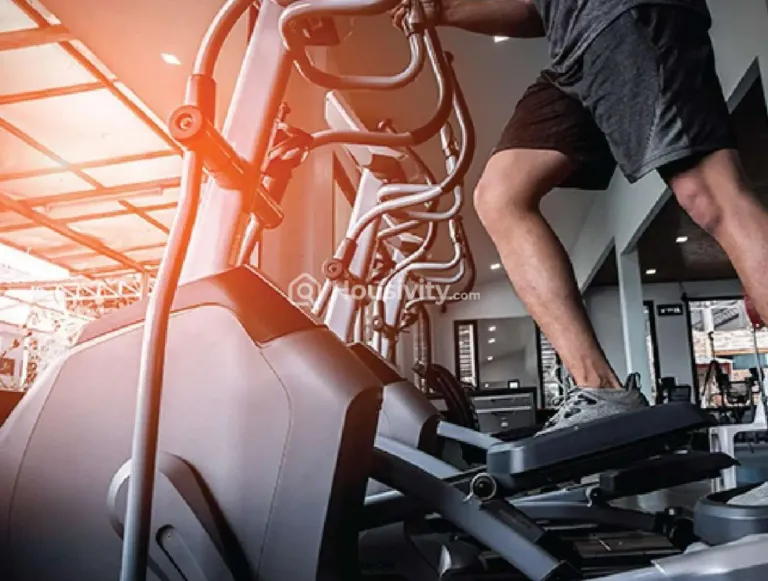 Sai's Vemuri Pride Image 3