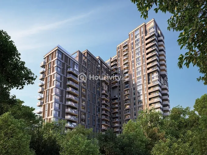 TVS Emerald Cascadia Image 1