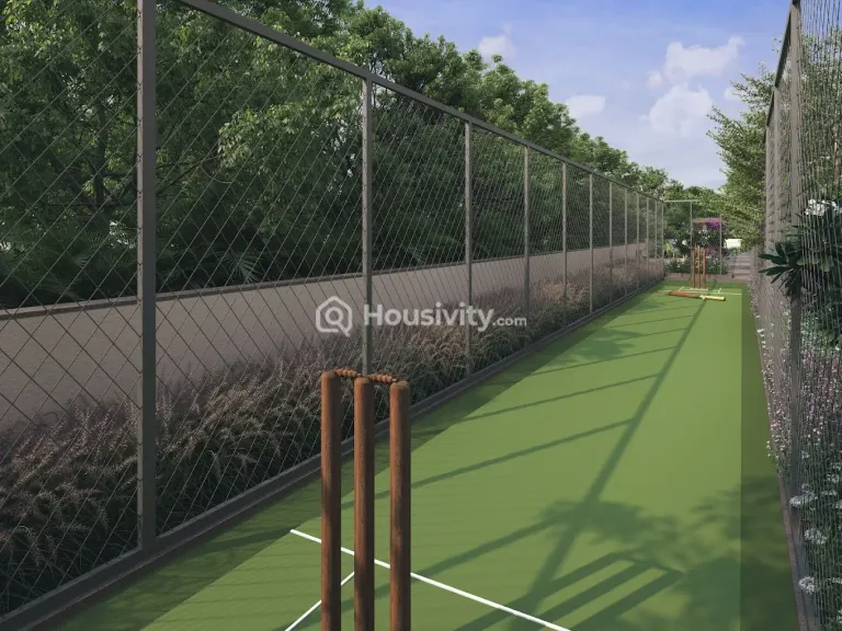 Orchid Platinum Image 9