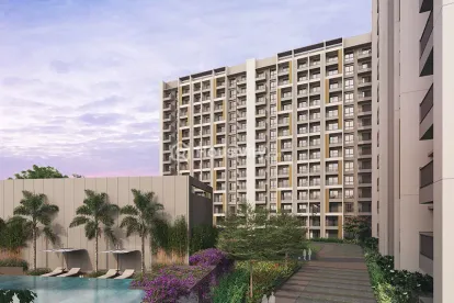 Orchid Platinum Image 4