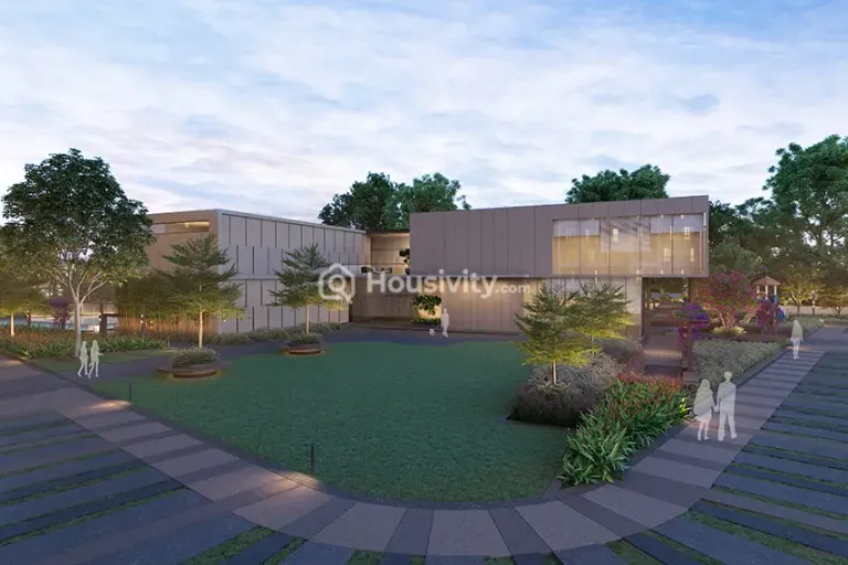 Orchid Platinum Image 5