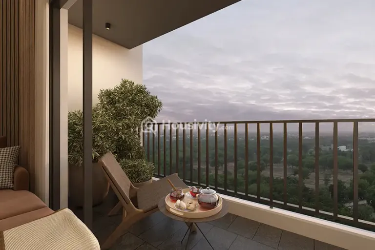 Orchid Platinum Image 2