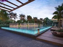 Orchid Platinum Image 10