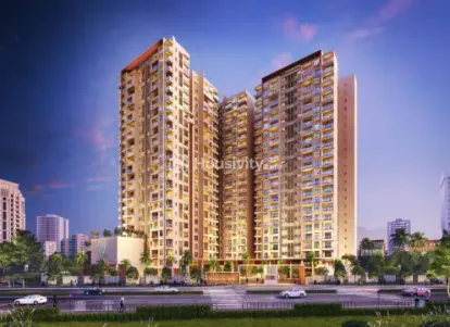 Vaswani Starlight Image 5