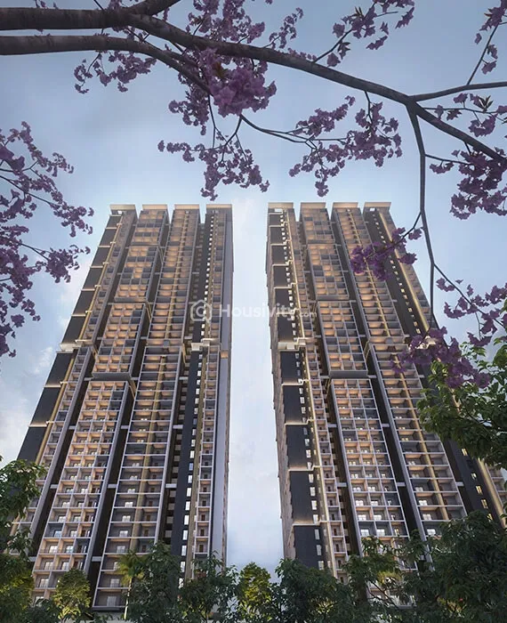 Candeur Twins Image 2