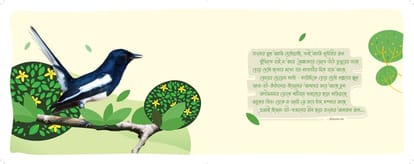Sugam Prakriti Brochure Image 12