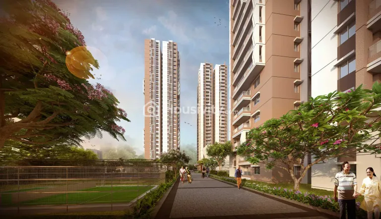 Honer Aquantis Image 6