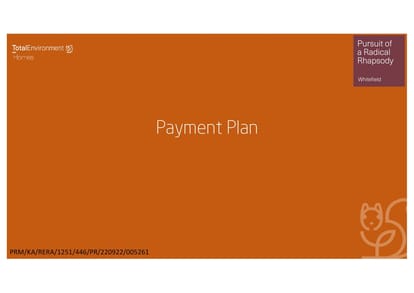 Total Pursuit Of A Radical Rhapsody Brochure Image 37