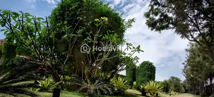 Total That Quiet Earth Image 3