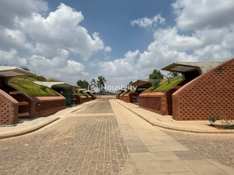 Total Environment After The Rain Image 2