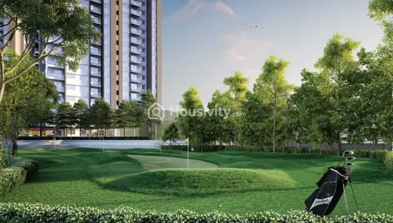 Concorde Auriga Image 18