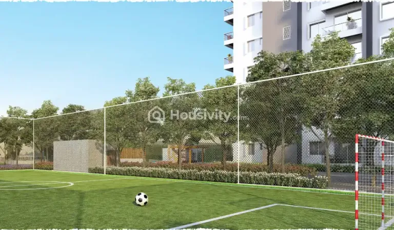 Concorde Auriga Image 17