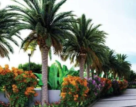 Oorjita Vedant Image 3