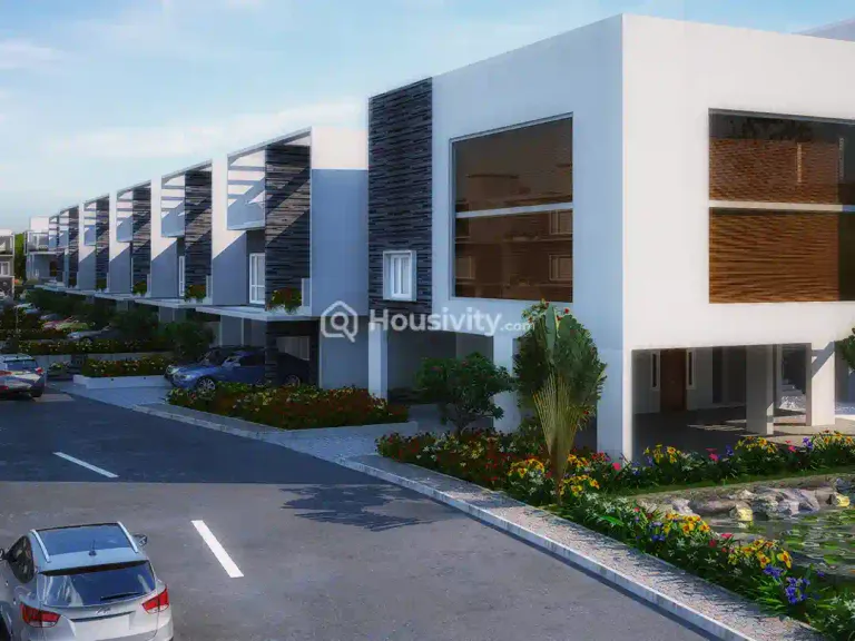 Saishakti Kingston Thumbnail