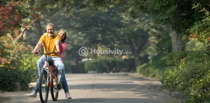 Saishakti Solitaire Image 1