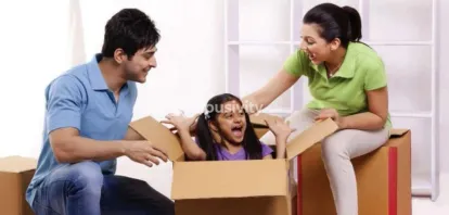 Saishakti Solitaire Image 2