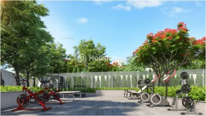 Ira The Miracle Image 3