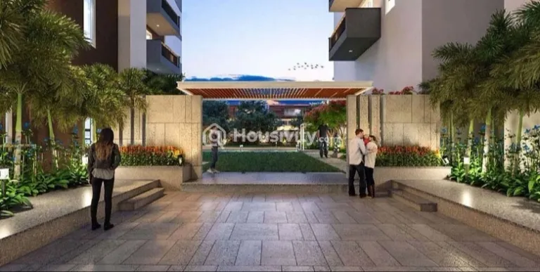 Ira The Miracle Image 5