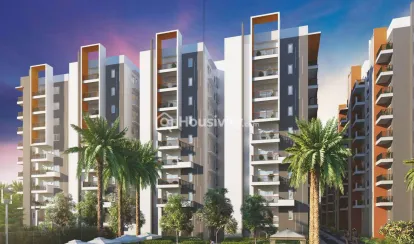 Ira Aspiration Image 3