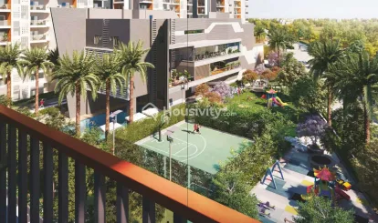 Ira Aspiration Image 4