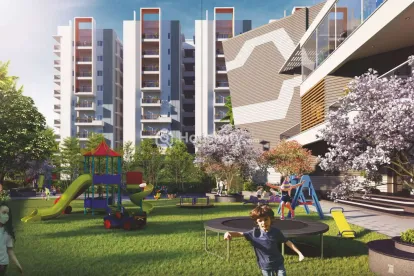 Ira Aspiration Image 5