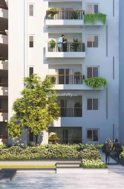 Ira Aspiration Image 7