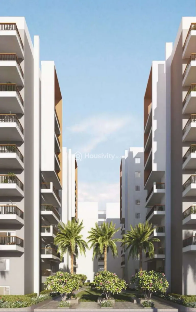 Ira Aspiration Image 6