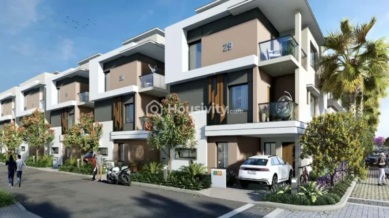 Pranava Sama Lakshma Reddy Greenwich Image 4