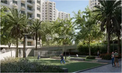 Sureka Sunrise Aura Image 4