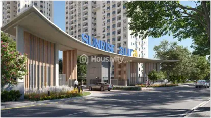 Sureka Sunrise Aura Image 6