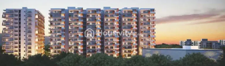 Svadha Mackennas Image 10