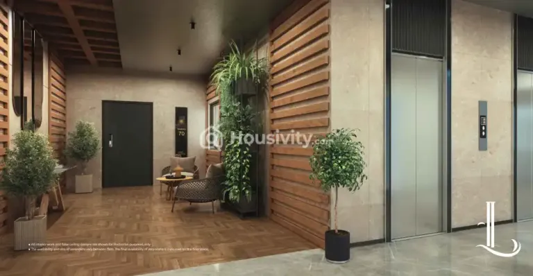 The Legacey Image 20