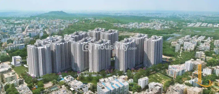 The Legacey Image 15