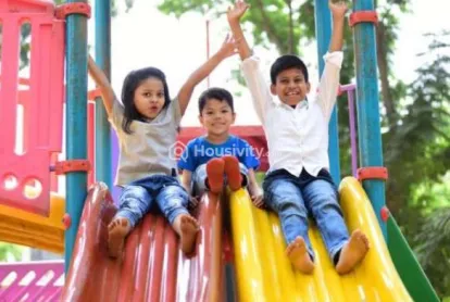 Ananda Vine Wood Image 3