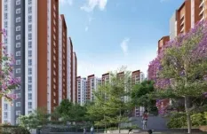 Provident Botanico Image 2