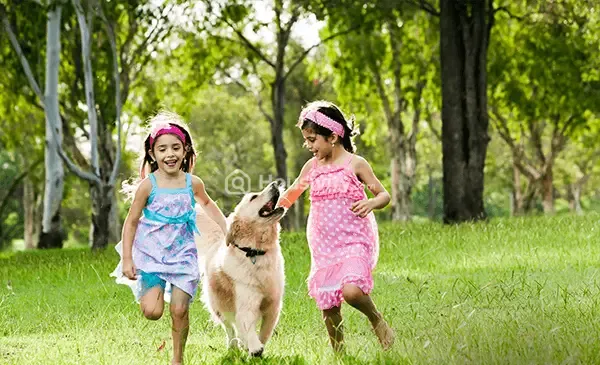 Provident Park One Image 11