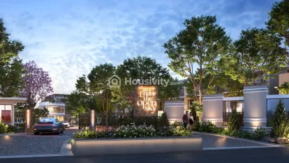 NVT Under The Open Sky Image 1